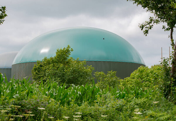Biogas plant for power generation and energy