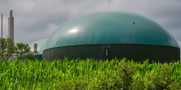 Biogas plant for power generation and energy
