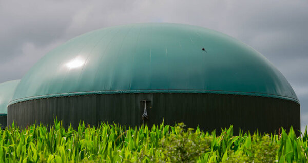 Biogas plant for power generation and energy