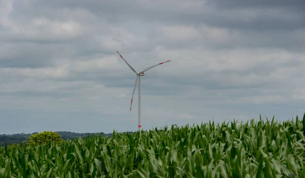 Большая Ветряная Турбина Кукурузным Полем — стоковое фото