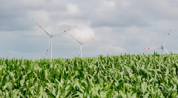 Duża Turbina Wiatrowa Polem Kukurydzy — Zdjęcie stockowe