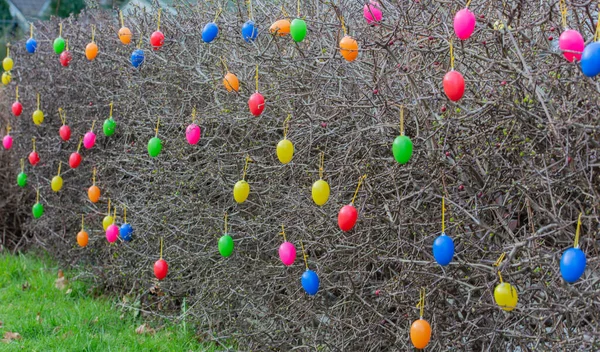 Садові Огорожі Різнокольорові Прикрашені Великодніми Яйцями Великдень — стокове фото