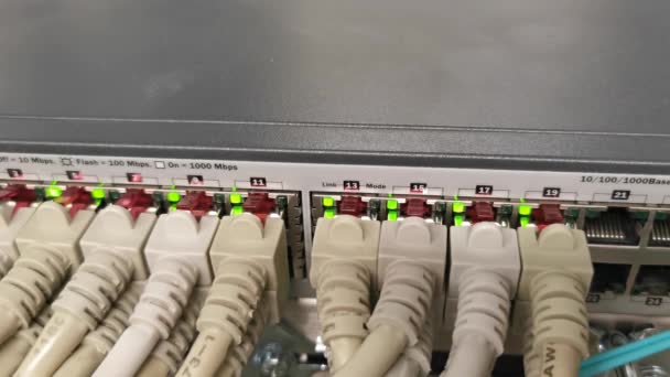 Network Switch Connected Network Cable Rj45 Patch Cable Fiber Optic — Stock Video