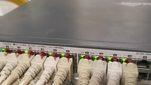 Netwerkschakelaar Verbonden Met Netwerkkabel Rj45 Patchkabel Glasvezelkabel Een Datacenter — Stockvideo