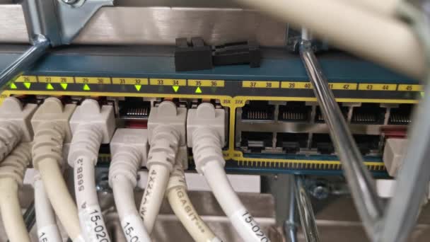 Nätverksbrytare Ansluten Med Nätverkskabel Rj45 Patch Kabel Och Fiberoptisk Kabel — Stockvideo