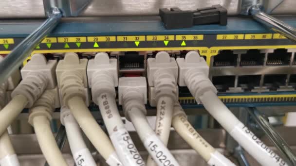 Network Switch Connected Network Cable Rj45 Patch Cable Fiber Optic — Stock Video