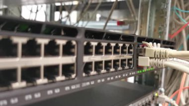 Bir veri merkezinde ağ anahtarı ve ağ kablosu Rj45 yama kablosu