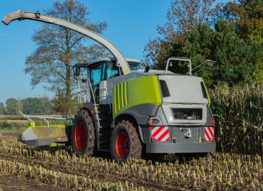 Mısır hasadı, hasat mevsimi için tarımsal faaliyet