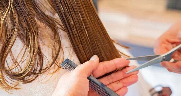 hairdresser cuts the long hair of a model