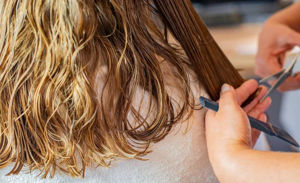 hairdresser cuts the long hair of a model