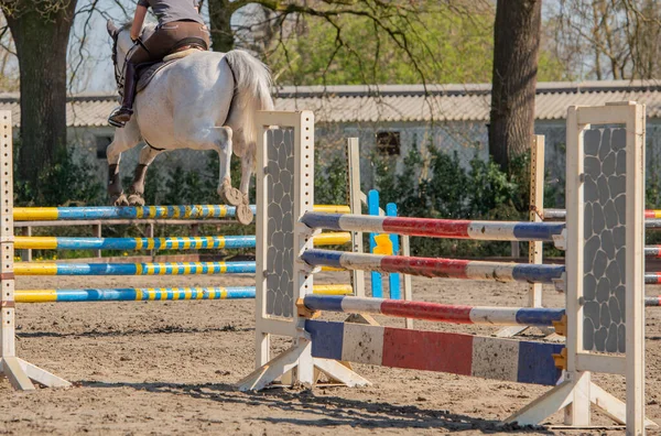 Amateur show jumping as a competitive sport with obstacles