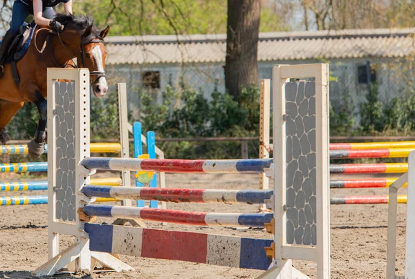 Amateur show jumping as a competitive sport with obstacles