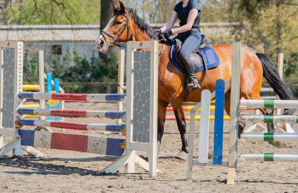 Amateur Show Jumping Como Esporte Competitivo Com Obstáculos — Fotografia de Stock