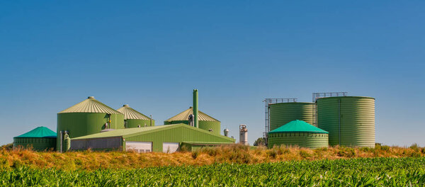 Biogas plant for power generation and energy