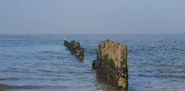 Sylt adasından sahil manzarası ve plaj