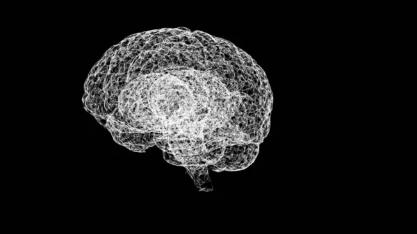 Begreppet mänsklig intelligens. Abstrakt vit modell av mänsklig hjärna på svart bakgrund. — Stockfoto