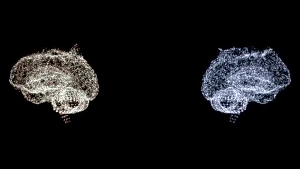 4k відео двох абстрактних моделей мозку, що обертаються в просторі . — стокове відео