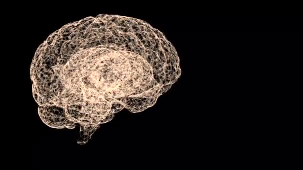 Zbliżenie wideo ludzkiego mózgu patrząc być utworzone z pajęczej sieci unoszącej się na czarnym tle. — Wideo stockowe