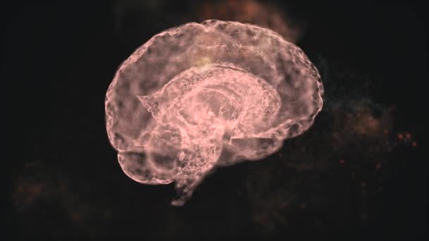 Vidéo 4k du cerveau humain abstrait flottant dans l'espace et certains éléments s'envolent . — Video