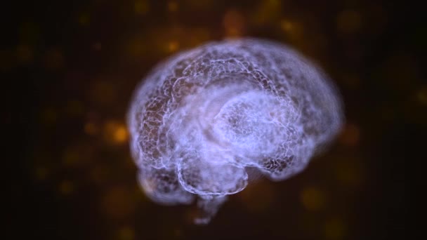 Abstrakte 4k-Video-Hintergrund des menschlichen Gehirns von so etwas wie Spinnennetz gebildet, drehen auf schwarzem Hintergrund. — Stockvideo