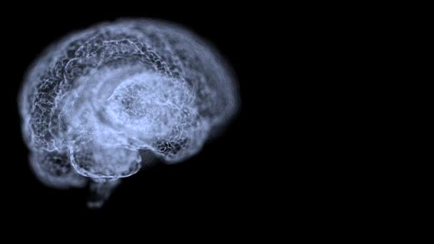 Магнитный резонанс видео человеческого мозга на черном фоне . — стоковое видео