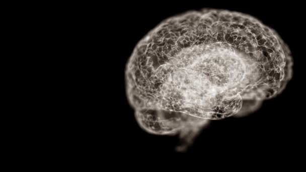 4k Video von weißem durchscheinendem Gehirn-Hologramm auf schwarzem Hintergrund. — Stockvideo