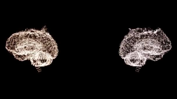 Vidéo 4k de deux modèles cérébraux abstraits en cours d'examen, tournant dans l'espace . — Video