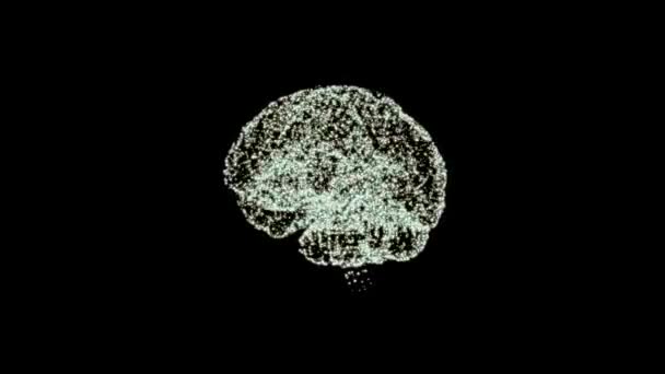 Koncepcja funkcji poznawczych. Lśniący hologram mózgu utworzony z drobnych cząstek nad czernią. — Wideo stockowe