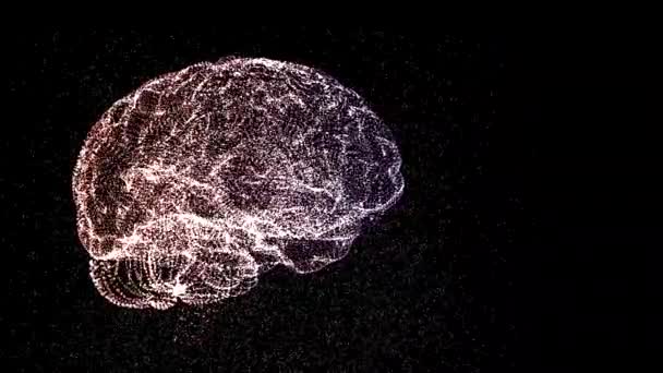 4k Video Scheme Of Abstract Colorful Brain On Black Background Creative Mind Concept Video By C Vfx Stock Footage 4k Video Scheme Of Abstract Colorful Brain On Black Background Creative Mind Concept Video By C Vfx Stock Footage
