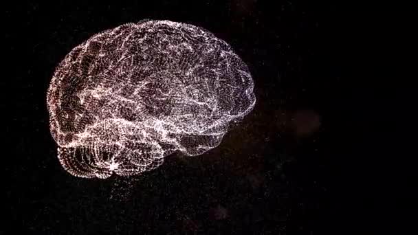 L'univers dans une maquette abstraite du cerveau flottant dans l'espace . — Video