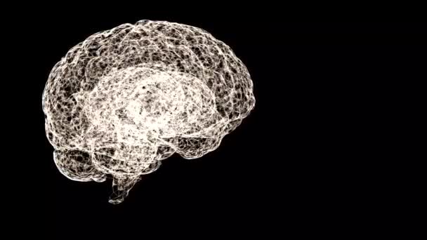Крупним планом відео людського мозку, який шукає, щоб бути сформований павутинною мережею, що плаває над чорним тлом . — стокове відео