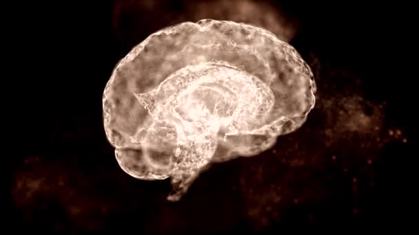 4k wideo abstrakcyjnego ludzkiego mózgu unoszącego się w przestrzeni i niektóre elementy odlatują. — Wideo stockowe
