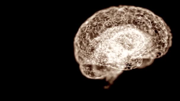 Zbliżenie wideo ludzkiego mózgu patrząc być utworzone z pajęczej sieci unoszącej się na czarnym tle. — Wideo stockowe