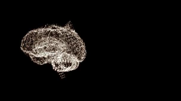 Karanlık uzayda yüzen yoğun aktivitelerdeki küçük parçacıklardan oluşan soyut parlayan beyin yapısı. — Stok video