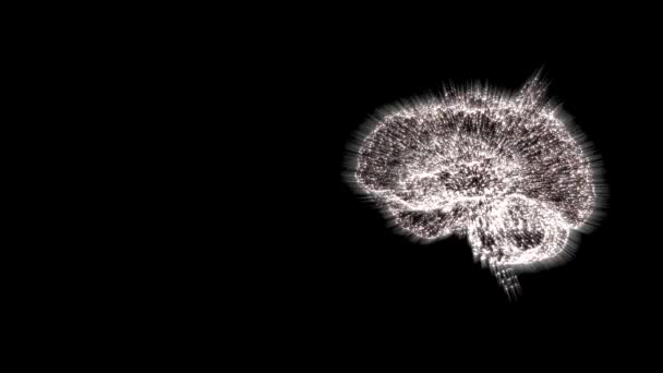 Animação do cérebro girando no espaço negro com raios de luz vindos de todos os lados . — Vídeo de Stock