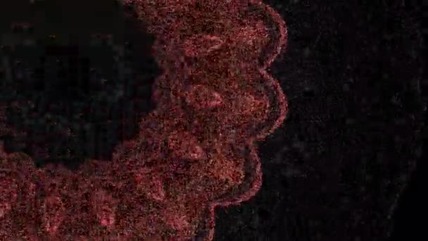 Mouvement abstrait de fleurs numériques colorées de manière hypnotique psychédélique .