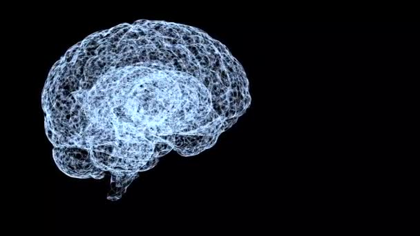 Concepto de inteligencia humana. Modelo azul abstracto del cerebro humano al dar la vuelta sobre fondo negro . — Vídeo de stock