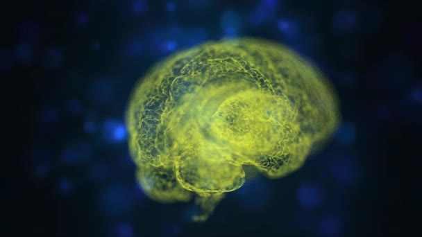 Abstrakcyjny widok na żółty ludzki mózg model anatomiczny unoszący się w otwartej przestrzeni wśród niebieskich cząstek bokeh. — Wideo stockowe