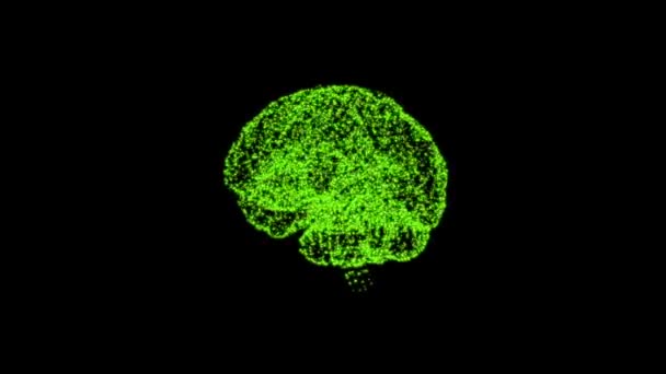 Понятие человеческого интеллекта. Абстрактно зеленая модель человеческого мозга, поворачивающаяся на черном фоне . — стоковое видео