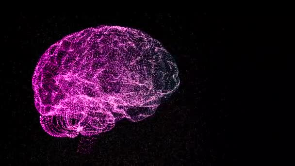 4k video scheme of abstract colorful brain on black background. Creative mind concept. — 图库视频影像