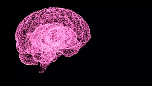 Concept d'intelligence humaine. Modèle rose abstrait du cerveau humain en se retournant sur fond noir . — Video