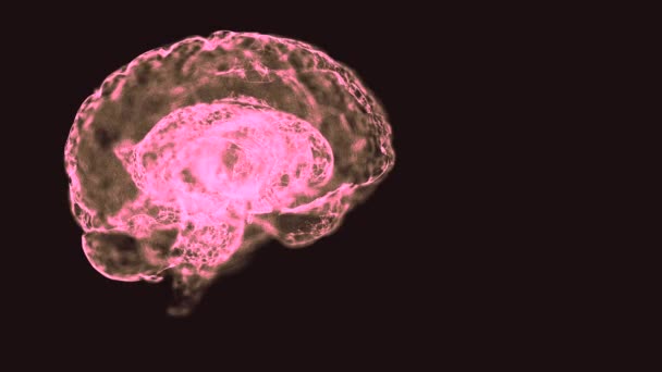 Rezonans magnetyczny ludzkiego mózgu na czarnym tle. — Wideo stockowe