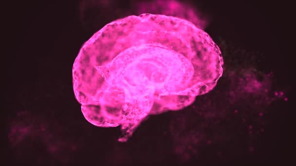 지적 재산권 개념. 추상적 인 뇌는 우주에서 빛나는 작은 분홍빛 입자들을 모입니다.. — 비디오