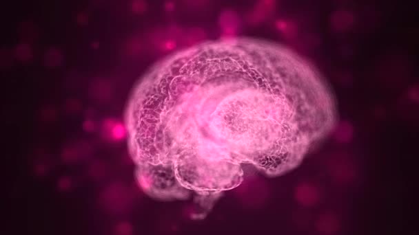 Un viaje a la mente soñadora. Movimiento abstracto de la maqueta del cerebro con bolas de bokeh rosa volando por todas partes . — Vídeo de stock