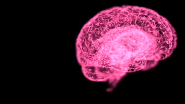 Vista abstracta del modelo anatómico del cerebro humano en el espacio abierto . — Vídeo de stock