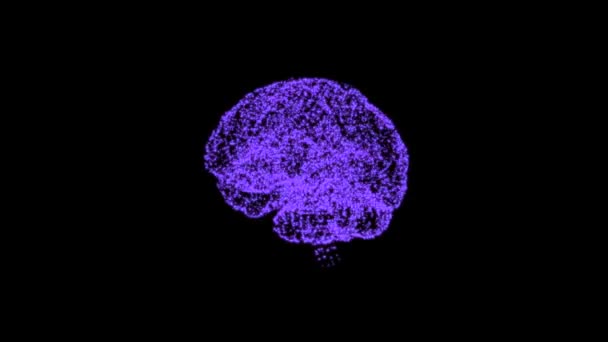 Begreppet mänsklig intelligens. Abstrakt blå modell av mänsklig hjärna på vända på svart bakgrund. — Stockvideo