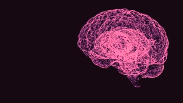 Análise dos hemisférios direito e esquerdo de um cérebro humano que gira sobre fundo escuro . — Vídeo de Stock