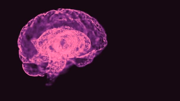 Concepto de paz mental. Cerebro formado por tela abstracta entretejida en color púrpura gira en el espacio . — Vídeo de stock