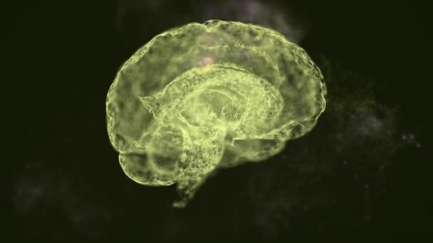 Concept de turbulence cérébrale. Vidéo montrant le cerveau à la recherche active de réponses, tremblant dans l'espace . — Video