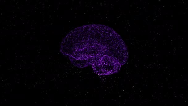 Concetto di pace mentale. Il cervello formato da particelle astratte di puntini viola ruota nello spazio . — Video Stock